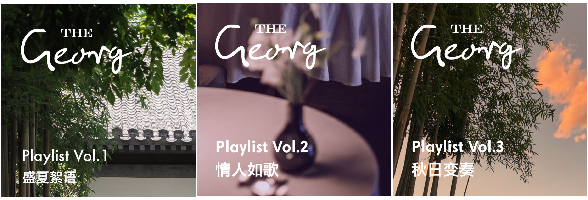 thegeorg11 thegeorg11